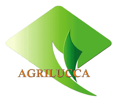 LOGO AGRILUCCA alt=logo agrilucca
